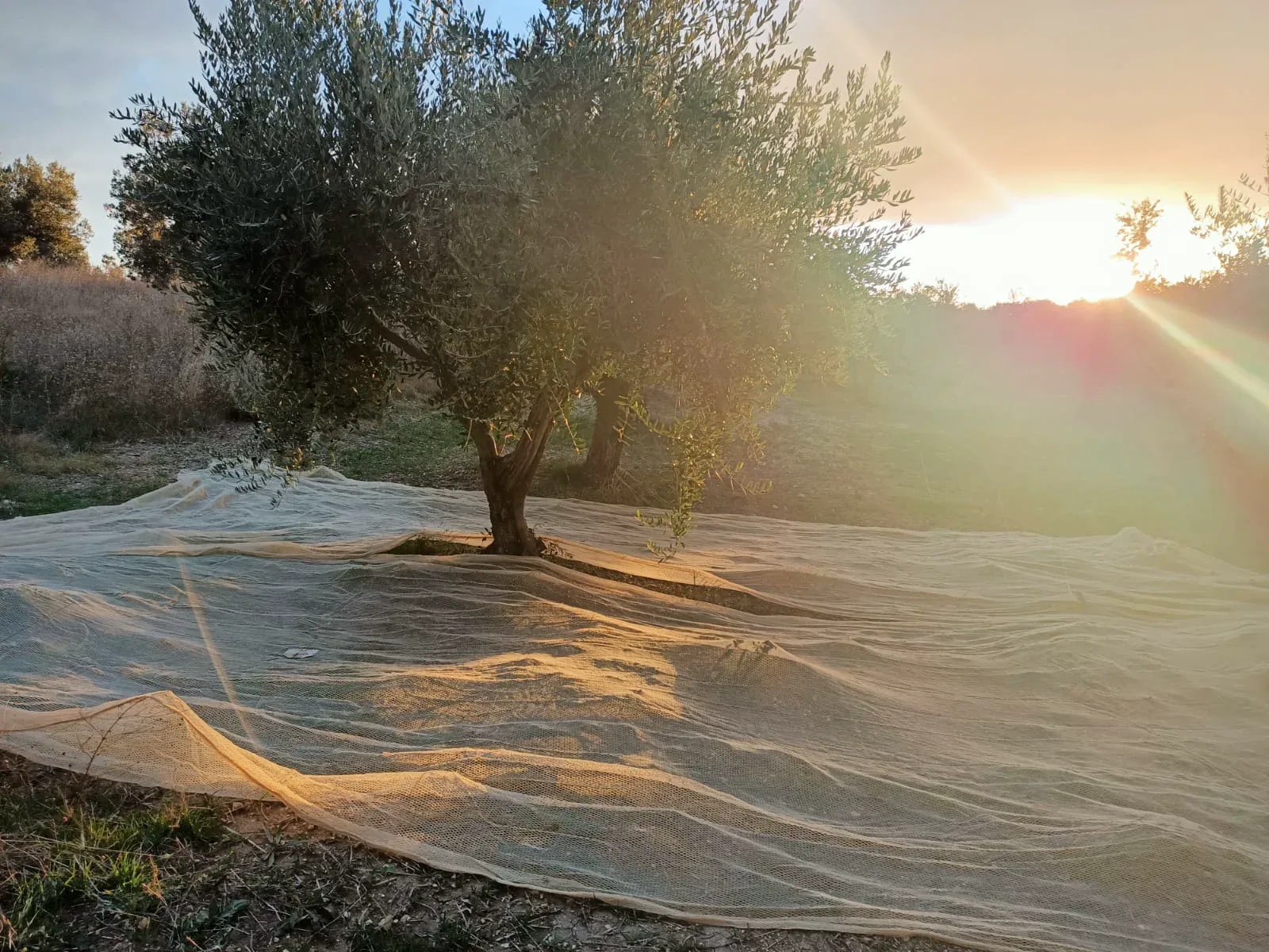 Abbiamo solo una vita. Scegliamo di viverla in salute
