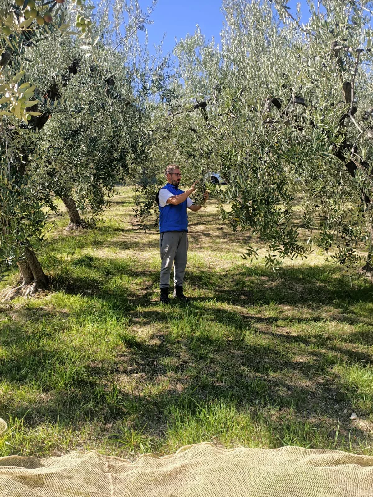 Il fondatore nell'uliveto